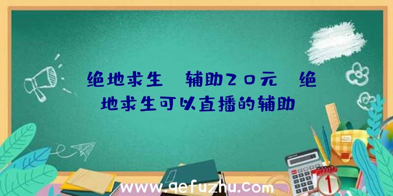 「绝地求生gm辅助20元」|绝地求生可以直播的辅助